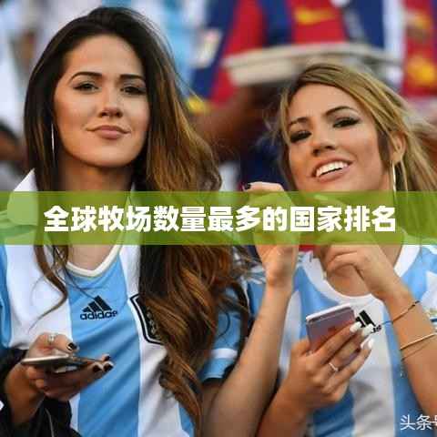 zhengzhongqishi 第7页