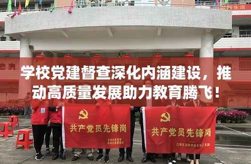 学校党建督查深化内涵建设,推动高质量发展助力教育腾飞!
