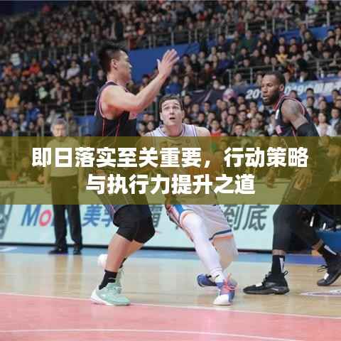 即日落实至关重要,行动策略与执行力提升之道