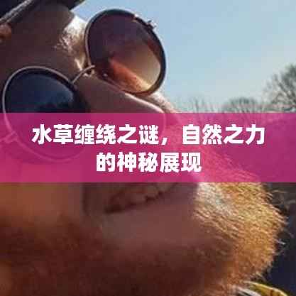 huanchunfanpu 第6页