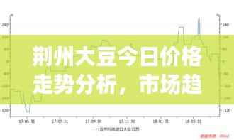 荆州大豆今日价格走势分析，市场趋势与未来展望
