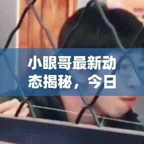 小眼哥最新动态揭秘,今日头条独家消息速递