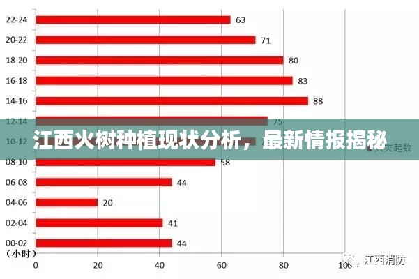 江西火树种植现状分析,最新情报揭秘
