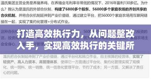 打造高效执行力,从问题整改入手,实现高效执行的关键所在