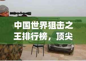 中国世界狙击之王排行榜,顶尖狙击手震撼榜单!