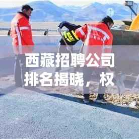 西藏招聘公司排名揭晓,权威榜单助你找到最佳合作伙伴!