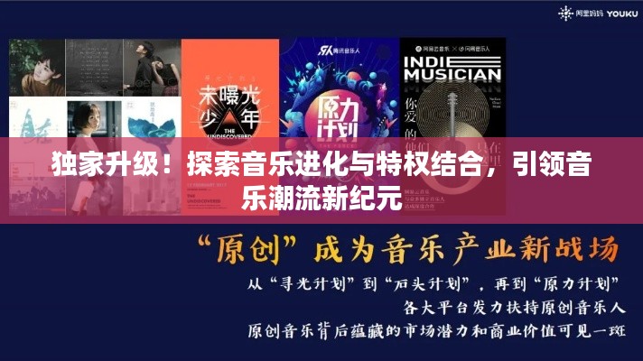 独家升级！探索音乐进化与特权结合，引领音乐潮流新纪元