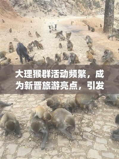 大理猴群活动频繁，成为新晋旅游亮点，引发关注热议！