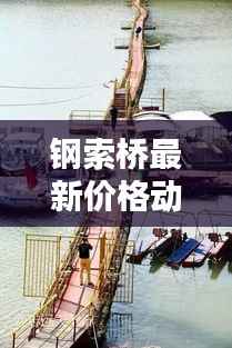 钢索桥最新价格动态及分析揭秘