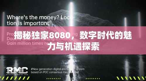 揭秘独家8080,数字时代的魅力与机遇探索
